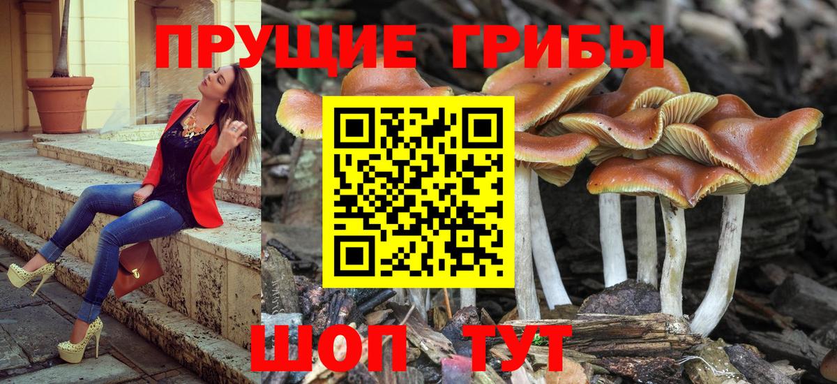 Галлюциногенные грибы ЛСД Югорск